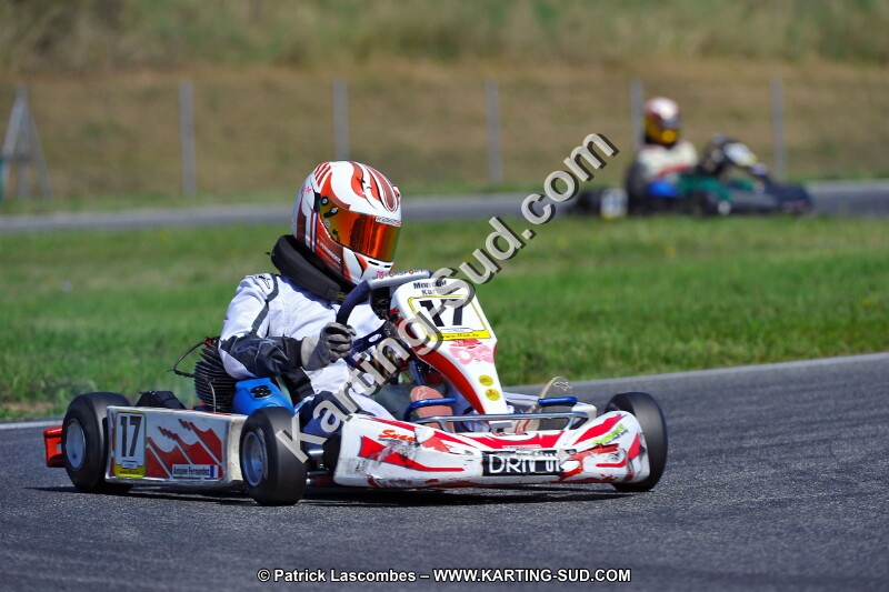 DSC_ (1376).jpg